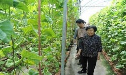 银川吃瓜最新事件爆料是真的吗,最新爆料真相揭秘